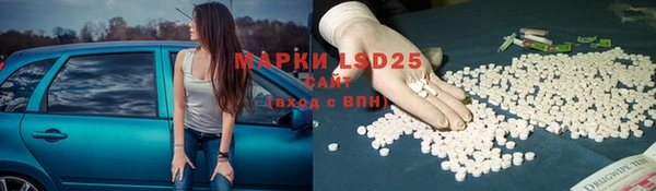 шишки Приозерск