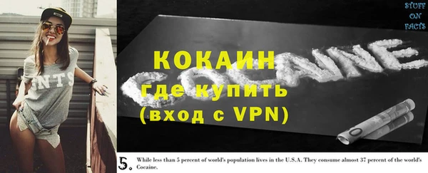 мет Протвино