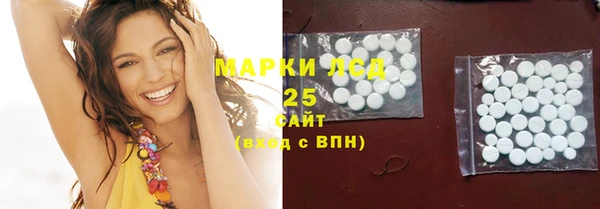 шишки Приозерск