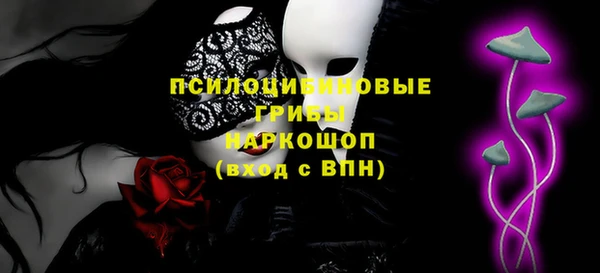 шишки Приозерск