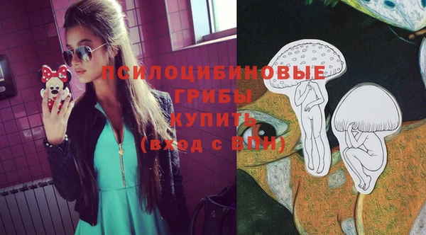 шишки Приозерск