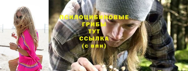 mdpv Пролетарск