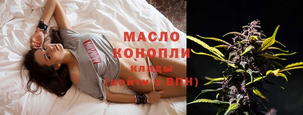 мет Протвино
